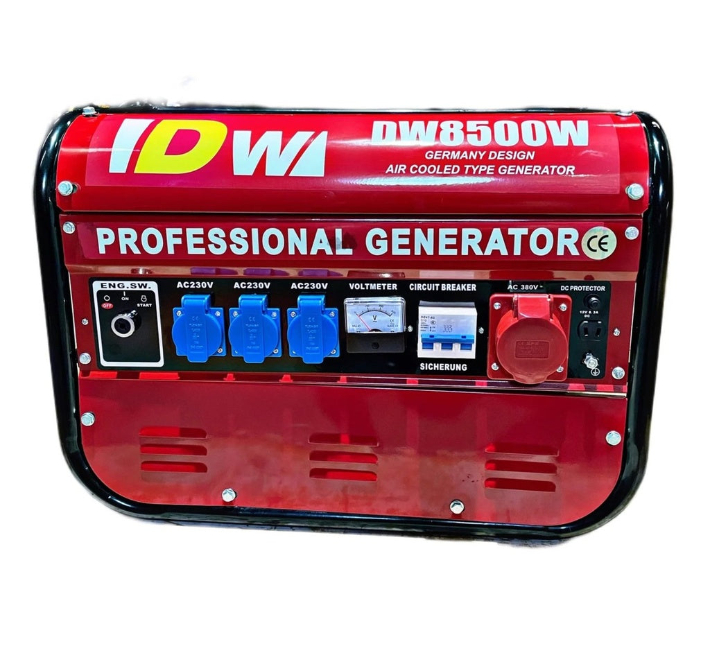 DW-8500W: 6.5HP Professional Gasoline Generator - 2500W