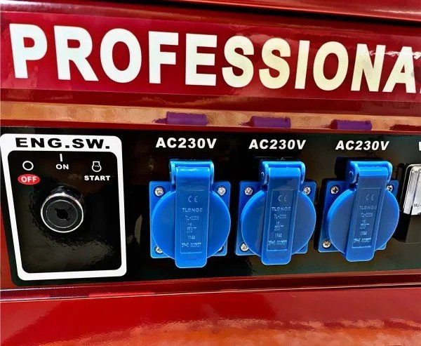 DW-8500W: 6.5HP Professional Gasoline Generator - 2500W